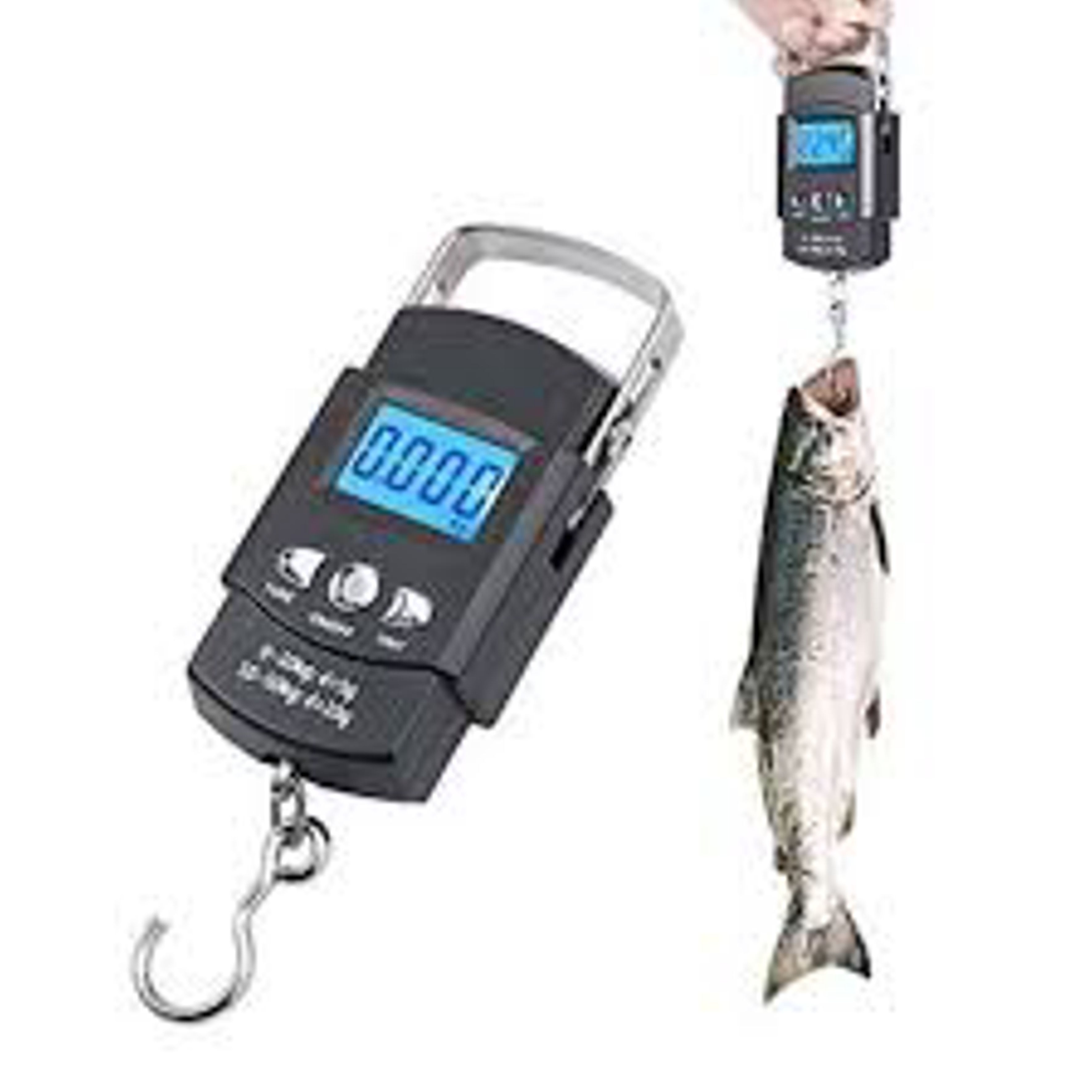 Electric Portable Scale - 50kg